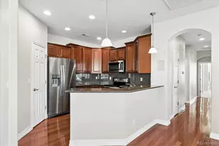 10064 Bluffmont Ct, Lone Tree, CO 80124 - Photo 4