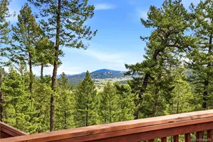 28182 Bonanza Dr, Evergreen, CO 80439 - Photo 38