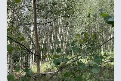 6325 Remington Road, Como, CO 80432 - Photo 8