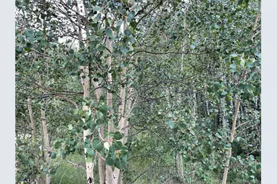 6325 Remington Road, Como, CO 80432 - Photo 2