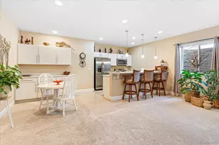 1048 Brocade Dr, Highlands Ranch, CO 80126 - Photo 24