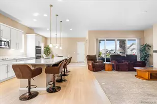 1048 Brocade Dr, Highlands Ranch, CO 80126 - Photo 6