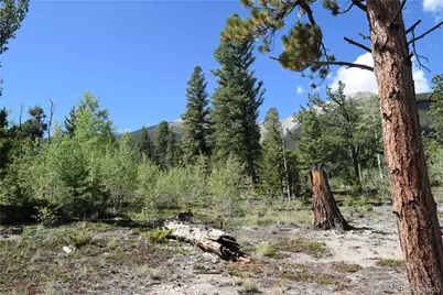 17225 County Road 327, Buena Vista, CO 81211 - Photo 10