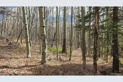 Lot 5853 Slegers Road, Fort Garland, CO 81133 - Photo 4