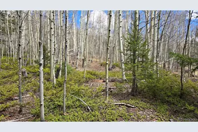 Lot 5853 Slegers Road, Fort Garland, CO 81133 - Photo 2