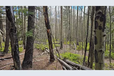 Lot 5853 Slegers Road, Fort Garland, CO 81133 - Photo 8