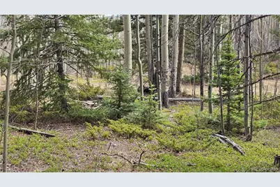 Lot 5853 Slegers Road, Fort Garland, CO 81133 - Photo 14