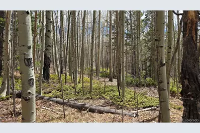 Lot 5853 Slegers Road, Fort Garland, CO 81133 - Photo 6