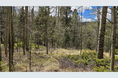 Lot 5853 Slegers Road, Fort Garland, CO 81133 - Photo 1