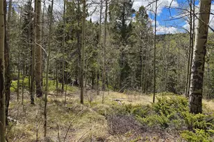 Lot 5853 Slegers Rd, Fort Garland, CO 81133 - Photo 1