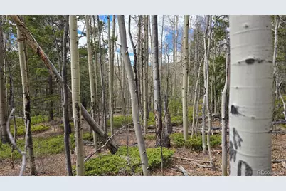 Lot 5853 Slegers Road, Fort Garland, CO 81133 - Photo 18