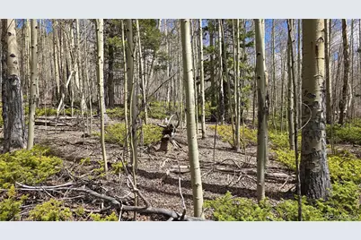 Lot 5853 Slegers Road, Fort Garland, CO 81133 - Photo 12