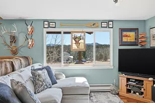 399 Conifer Dr, Bailey, CO 80421 - Photo 8