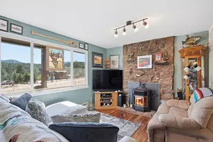 399 Conifer Dr, Bailey, CO 80421 - Photo 10