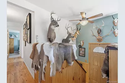 399 Conifer Drive, Bailey, CO 80421 - Photo 12