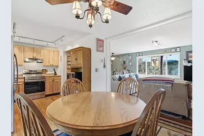 399 Conifer Drive, Bailey, CO 80421 - Photo 8