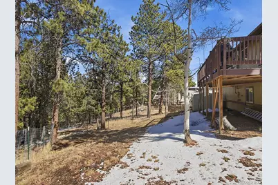399 Conifer Drive, Bailey, CO 80421 - Photo 32