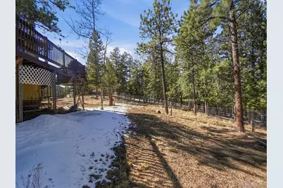 399 Conifer Drive, Bailey, CO 80421 - Photo 36