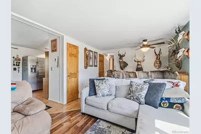 399 Conifer Drive, Bailey, CO 80421 - Photo 10