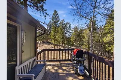 399 Conifer Drive, Bailey, CO 80421 - Photo 34