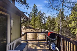 399 Conifer Dr, Bailey, CO 80421 - Photo 34