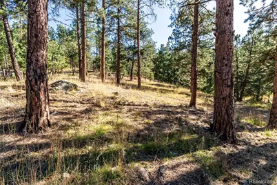 27406 Mountain Park Road, Evergreen, CO 80439 - Photo 4