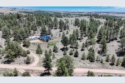 370 Todd Way, Westcliffe, CO 81252 - Photo 4