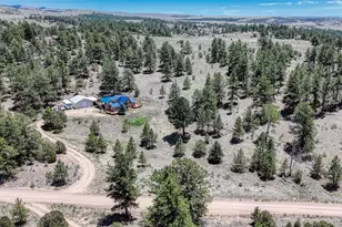370 Todd Way, Westcliffe, CO 81252 - Photo 4