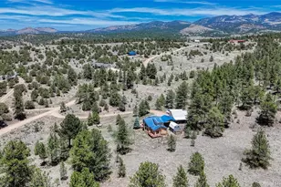 370 Todd Way, Westcliffe, CO 81252 - Photo 6
