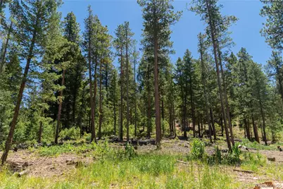 6814 Lynx Lair Road, Evergreen, CO 80439 - Photo 16