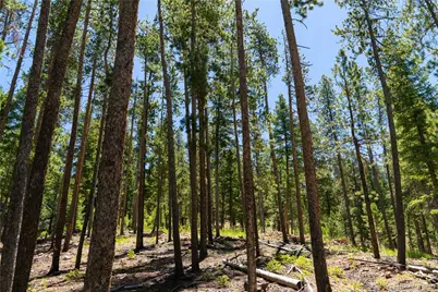 6814 Lynx Lair Road, Evergreen, CO 80439 - Photo 14
