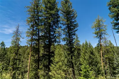 6814 Lynx Lair Road, Evergreen, CO 80439 - Photo 6