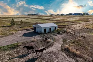 7498 Patrick Trail, Elizabeth, CO 80107 - Photo 32