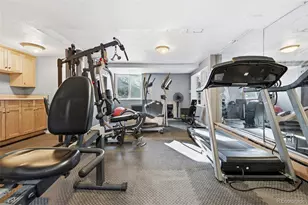 336 N Grant St, Denver, CO 80203 - Photo 16