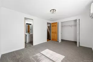 336 N Grant St, Denver, CO 80203 - Photo 10