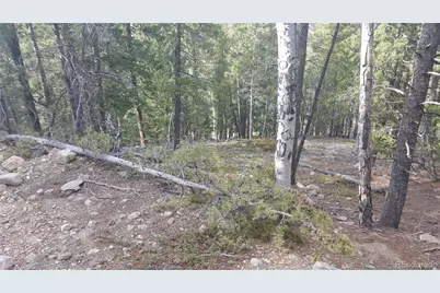 0 Ohio Gulch Trail, Dumont, CO 80436 - Photo 4