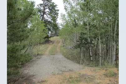 657 Pine Lane, Hartsel, CO 80449 - Photo 2