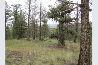 657 Pine Lane, Hartsel, CO 80449 - Photo 26