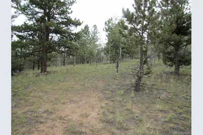 657 Pine Lane, Hartsel, CO 80449 - Photo 8