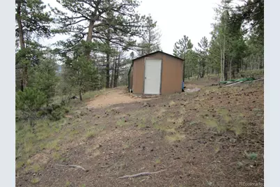 657 Pine Lane, Hartsel, CO 80449 - Photo 10