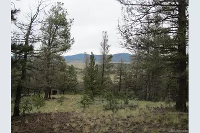 657 Pine Lane, Hartsel, CO 80449 - Photo 14