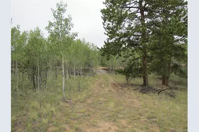 657 Pine Lane, Hartsel, CO 80449 - Photo 24