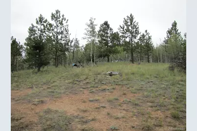 657 Pine Lane, Hartsel, CO 80449 - Photo 6