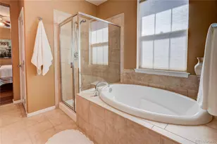 10556 Graymont Ln, Highlands Ranch, CO 80126 - Photo 20