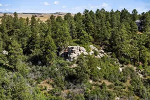 7750 E Greenland Rd, Franktown, CO 80116 - Photo 2