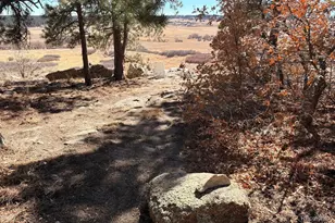 7750 E Greenland Rd, Franktown, CO 80116 - Photo 44