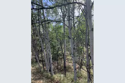 540 Vulture Lane, Como, CO 80432 - Photo 2