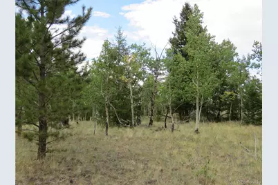 9389 Ranch Road, Hartsel, CO 80449 - Photo 36