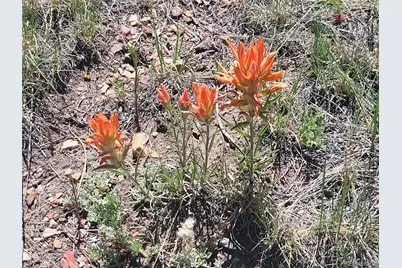 9389 Ranch Road, Hartsel, CO 80449 - Photo 20