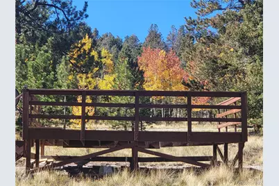 9389 Ranch Road, Hartsel, CO 80449 - Photo 4